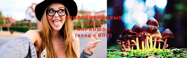 дмт Горняк