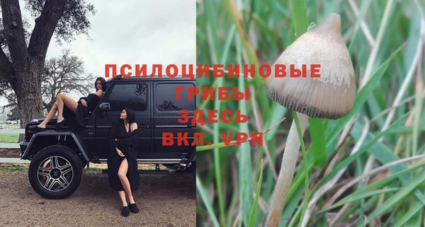 меф Горно-Алтайск