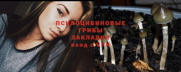 дмт Горняк