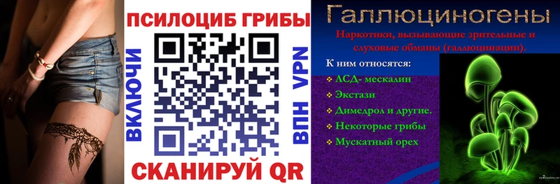 Купить закладки  Ирбит  Псилоцибиновые грибы Magic Shrooms 