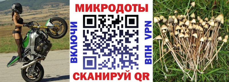 Псилоцибиновые грибы прущие грибы Ирбит